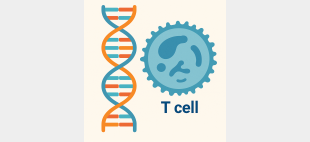 Graphic of DNA Helix and T Cell as it relates to the article